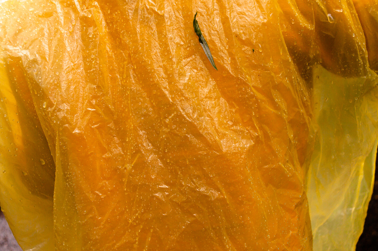 Торс в желтом плаще. Красноярск, 2023