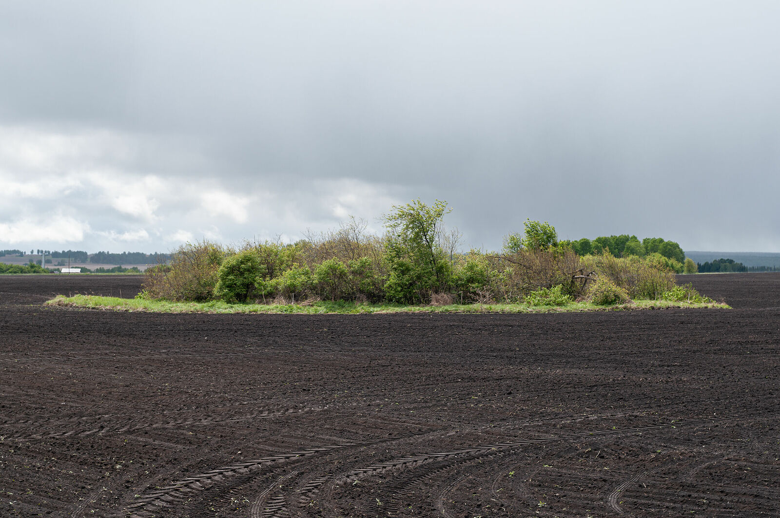 Plowed Field. Sukhobuzimskiy District